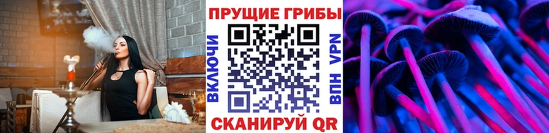 Псилоцибиновые грибы Magic Shrooms  закладка  Волгореченск 
